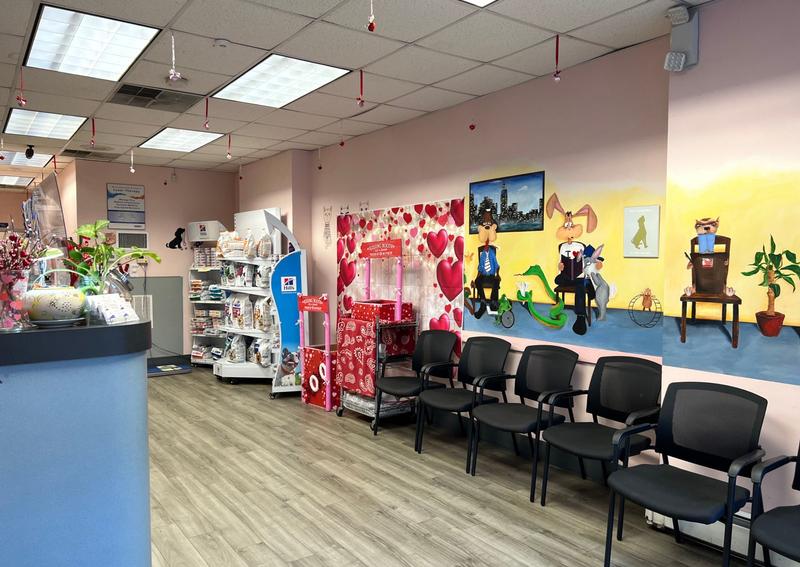 Hoboken Animal Hospital Veterinarians